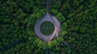 The Economics of Emerging Carbon Dioxide Removal Technologies featured image
